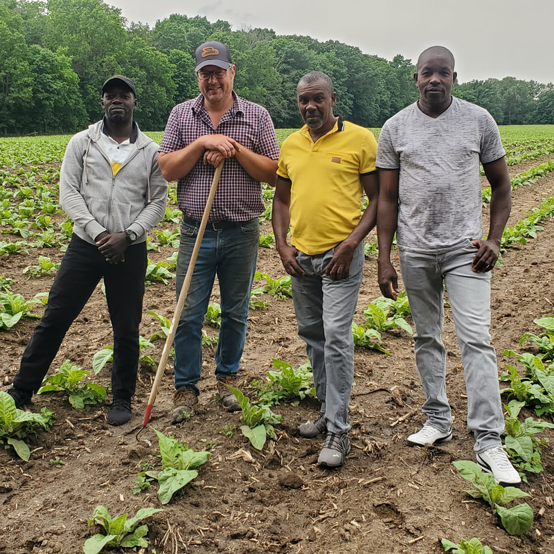 A group of farmers standing in a field